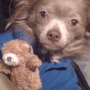 Meet your Posher, Sonya